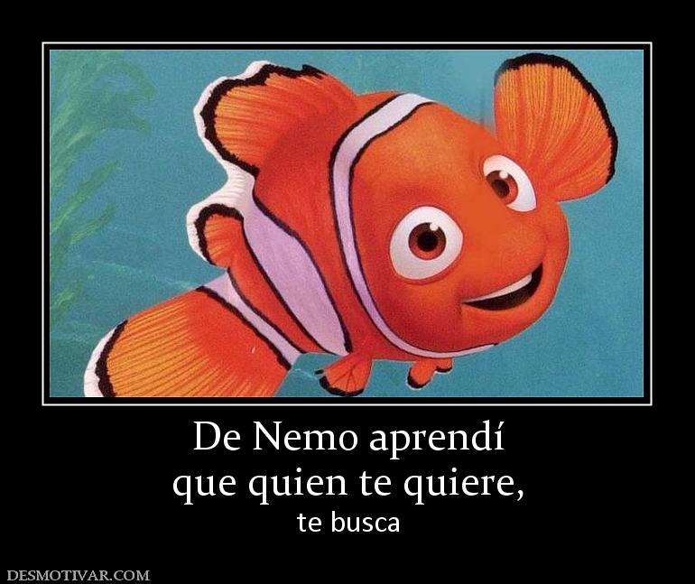 De Nemo aprendí que quien te quiere, te busca
