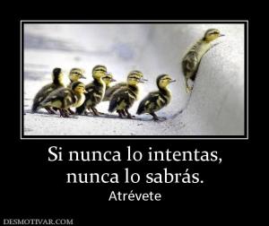 Si nunca lo intentas, nunca lo sabrás. Atrévete