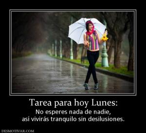 Tarea para hoy Lunes: No esperes nada de nadie, así vivirás tranquilo sin desilusiones.