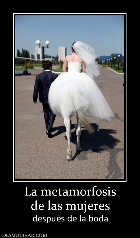 La metamorfosis de las mujeres después de la boda