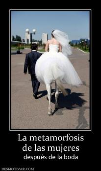 La metamorfosis de las mujeres después de la boda