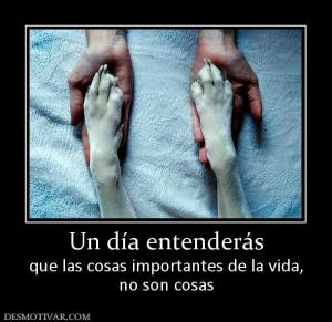 Un día entenderás que las cosas importantes de la vida, no son cosas