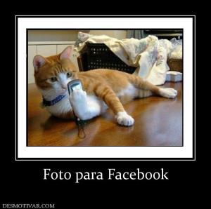 Foto para Facebook