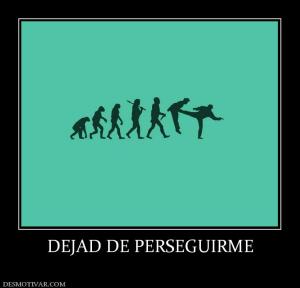 DEJAD DE PERSEGUIRME