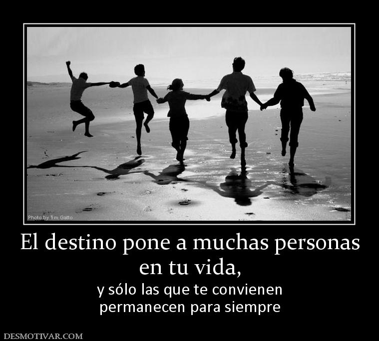 El destino pone a muchas personas en tu vida,  y sólo las que te convienen permanecen para siempre