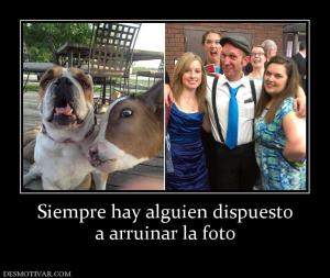 Siempre hay alguien dispuesto a arruinar la foto