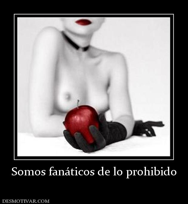 Somos fanáticos de lo prohibido