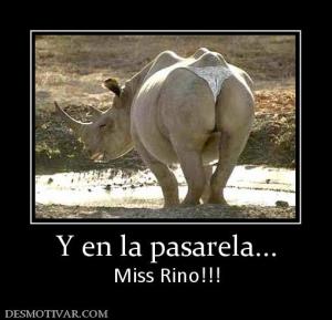 Y en la pasarela... Miss Rino!!!