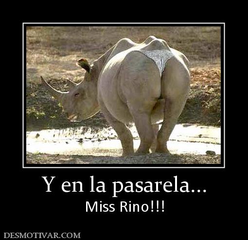 Y en la pasarela... Miss Rino!!!