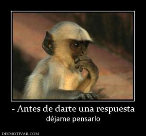 - Antes de darte una respuesta déjame pensarlo