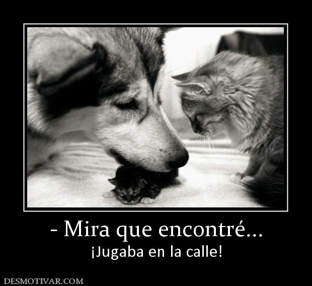 - Mira que encontré... ¡Jugaba en la calle!