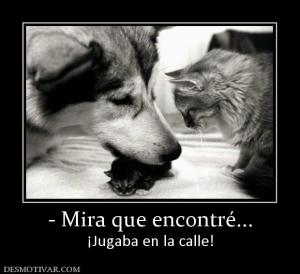 - Mira que encontré... ¡Jugaba en la calle!