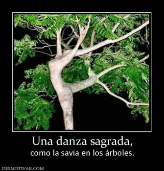 Una danza sagrada, como la savia en los árboles.