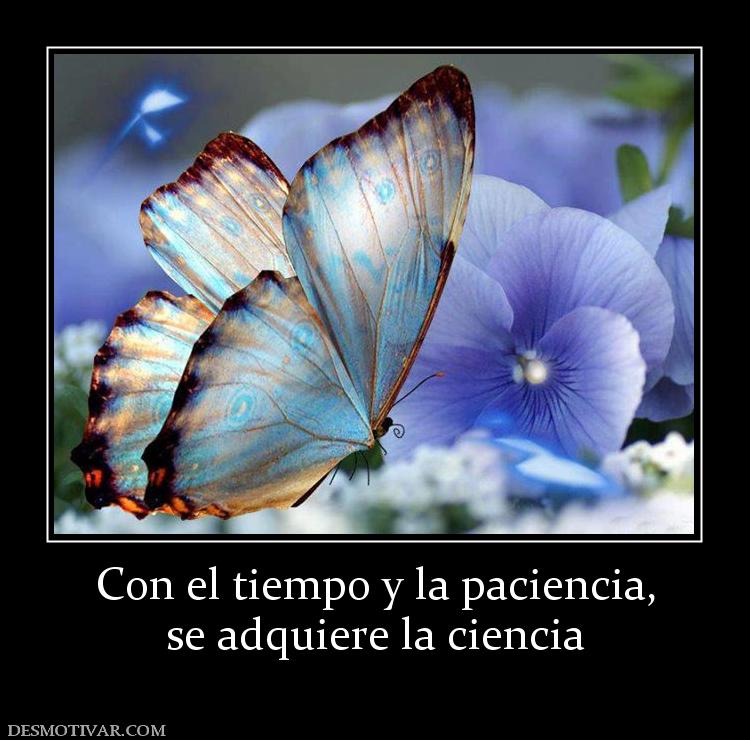 Con el tiempo y la paciencia, se adquiere la ciencia