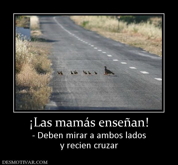 ¡Las mamás enseñan! - Deben mirar a ambos lados y recien cruzar