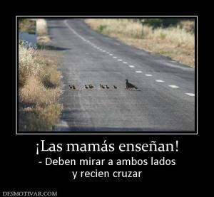 ¡Las mamás enseñan! - Deben mirar a ambos lados y recien cruzar