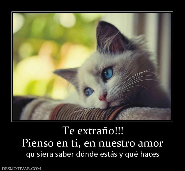 Te extraño!!! Pienso en ti, en nuestro amor quisiera saber dónde estás y qué haces