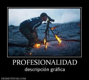 PROFESIONALIDAD descripción gráfica