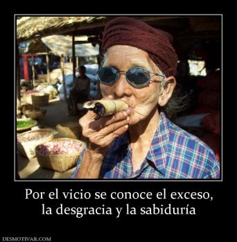 Por el vicio se conoce el exceso, la desgracia y la sabiduría