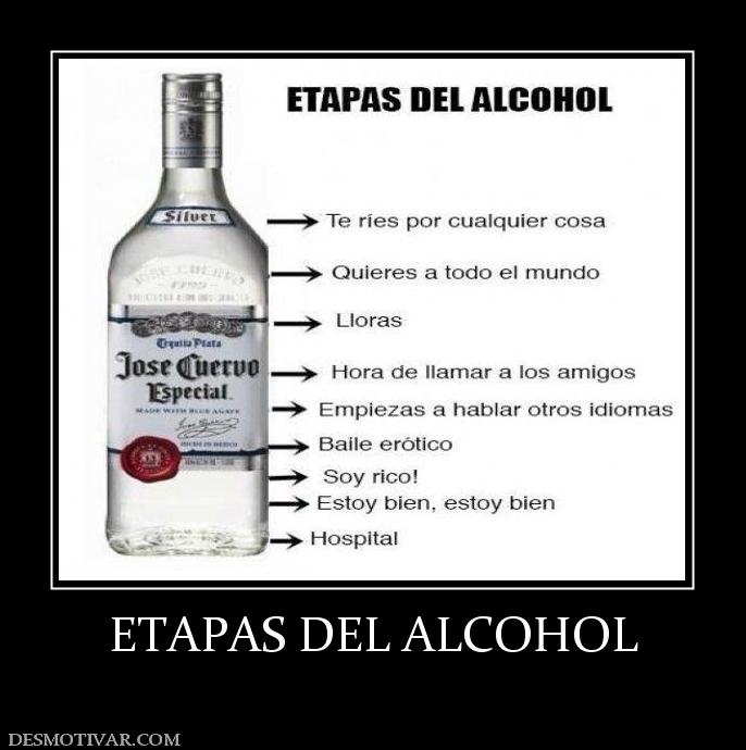 ETAPAS DEL ALCOHOL