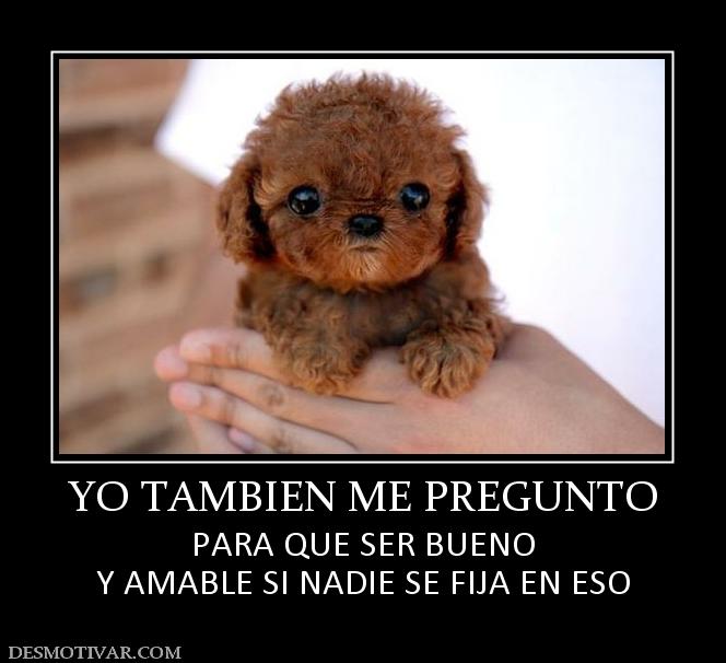 YO TAMBIEN ME PREGUNTO PARA QUE SER BUENO Y AMABLE SI NADIE SE FIJA EN ESO