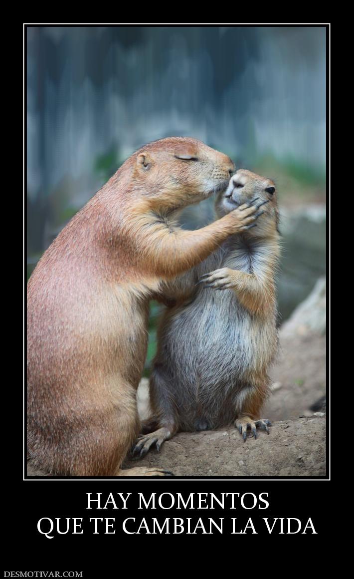 HAY MOMENTOS QUE TE CAMBIAN LA VIDA