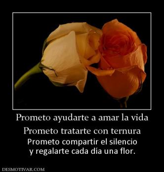 Prometo ayudarte a amar la vida Prometo tratarte con ternura Prometo compartir el silencio y regalarte cada día una flor.