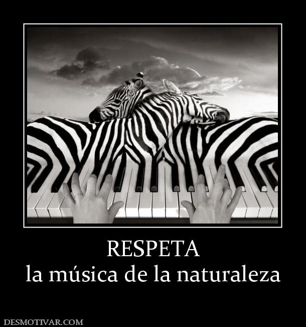 RESPETA la música de la naturaleza