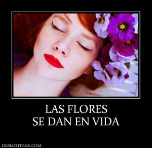 LAS FLORES SE DAN EN VIDA