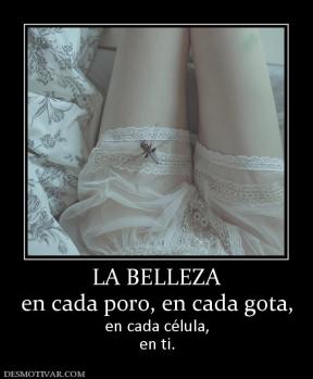 LA BELLEZA en cada poro, en cada gota,  en cada célula, en ti.