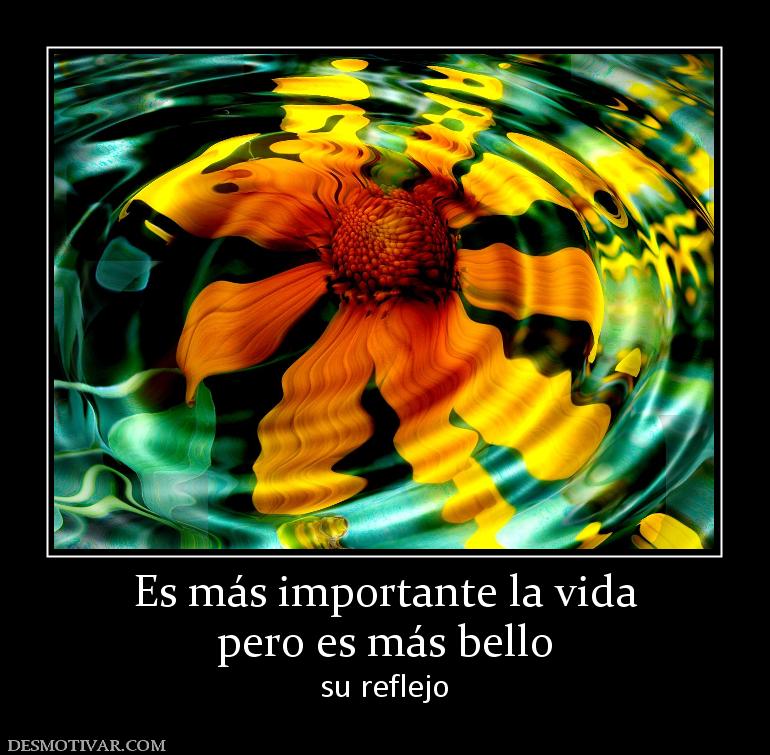 Es más importante la vida pero es más bello su reflejo