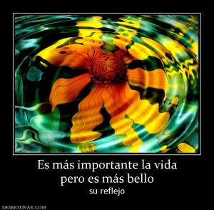 Es más importante la vida pero es más bello su reflejo
