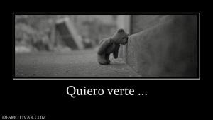 Quiero verte ...