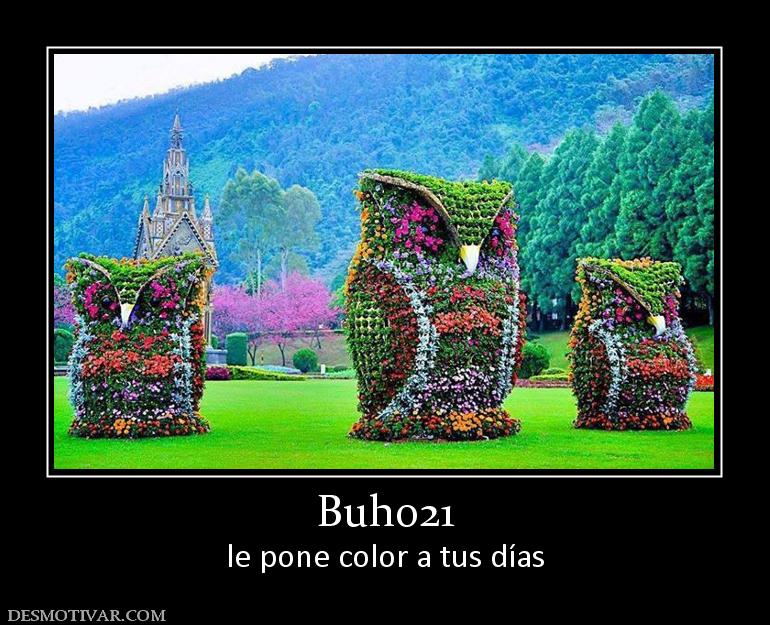 Buho21 le pone color a tus días