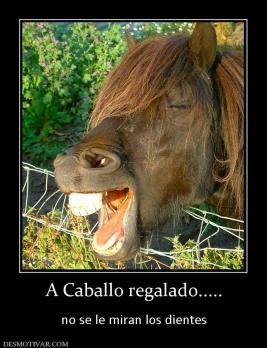 A Caballo regalado.....  no se le miran los dientes