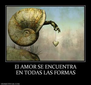 El AMOR SE ENCUENTRA EN TODAS LAS FORMAS