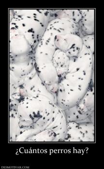 ¿Cuántos perros hay?
