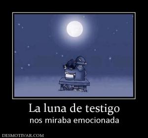 La luna de testigo nos miraba emocionada