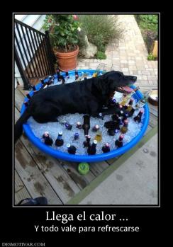 Llega el calor ... Y todo vale para refrescarse