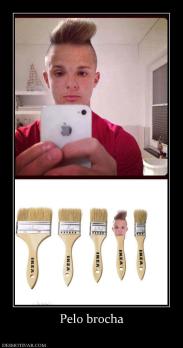 Pelo brocha