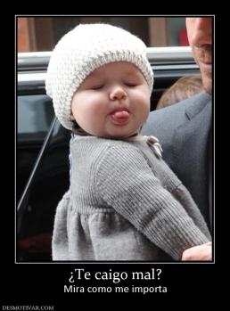 ¿Te caigo mal? Mira como me importa
