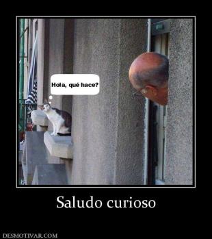 Saludo curioso