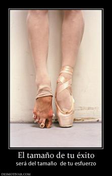 El tamaño de tu éxito será del tamaño  de tu esfuerzo