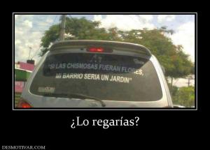 ¿Lo regarías?