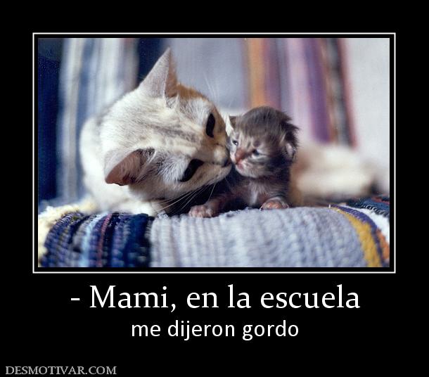 - Mami, en la escuela me dijeron gordo
