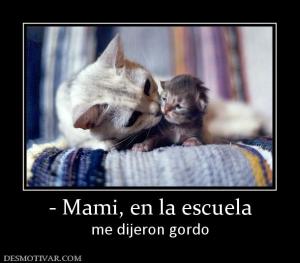 - Mami, en la escuela me dijeron gordo