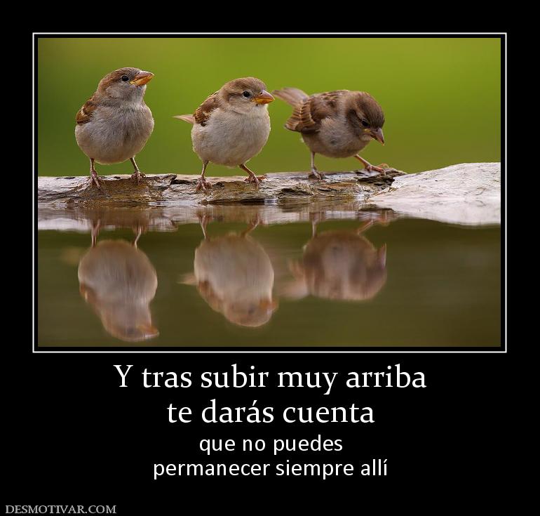 Y tras subir muy arriba te darás cuenta que no puedes permanecer siempre allí