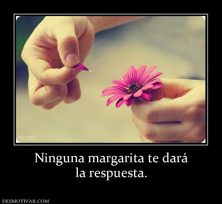 Ninguna margarita te dará la respuesta.