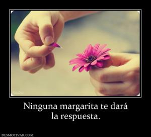 Ninguna margarita te dará la respuesta.