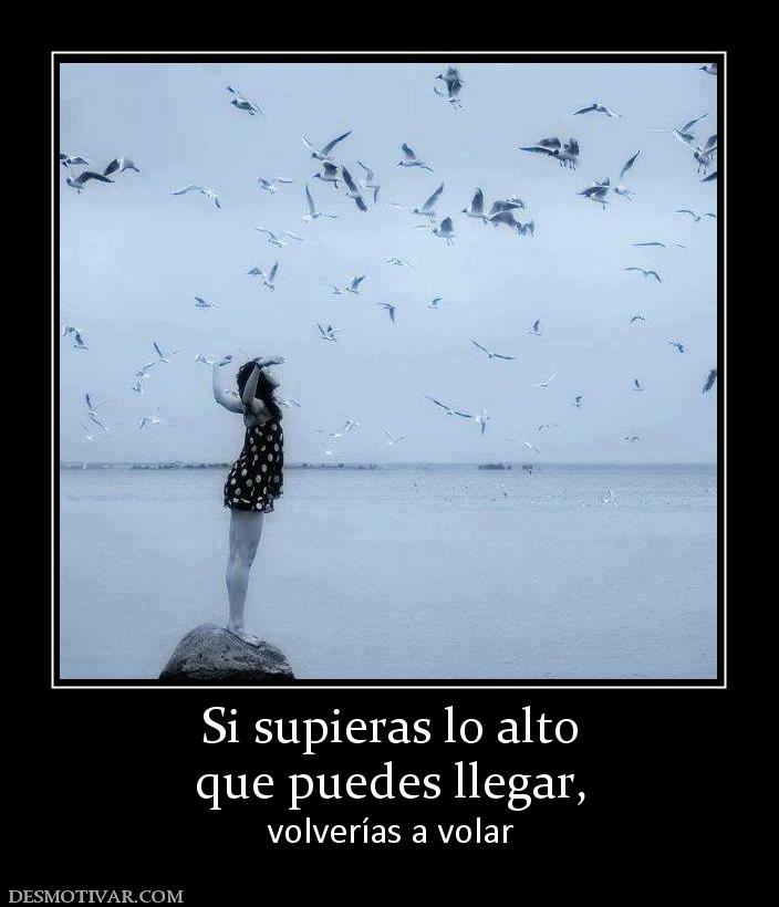 Si supieras lo alto que puedes llegar,  volverías a volar